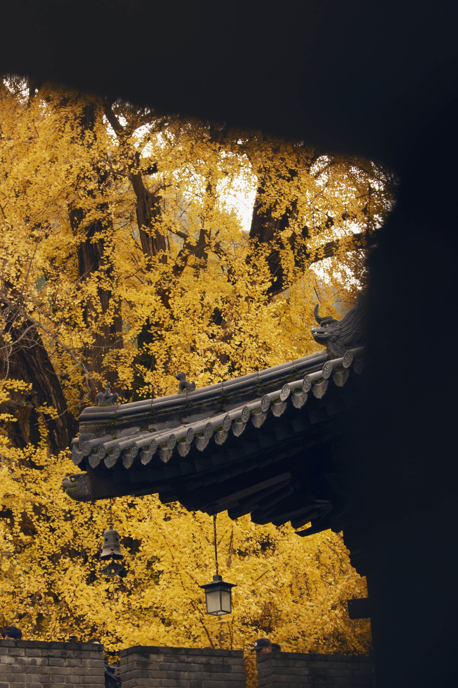 古观音禅寺：佩戴细节